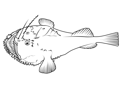 American Anglerfish (Lophius Americanus) Coloring Page